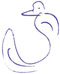 Soul Bird
